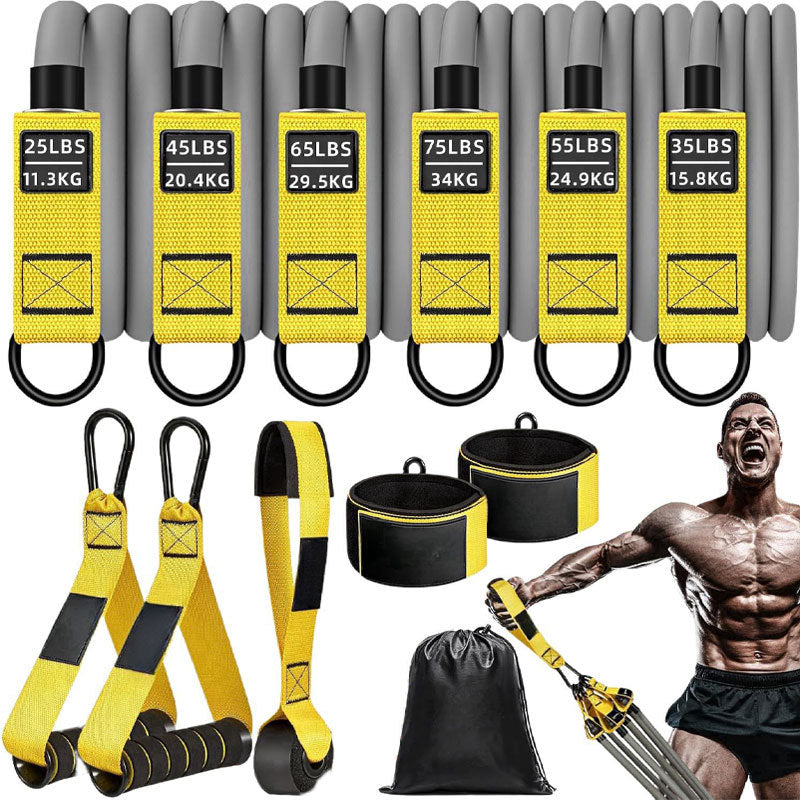 TPE Resistance Band Set with Accessories