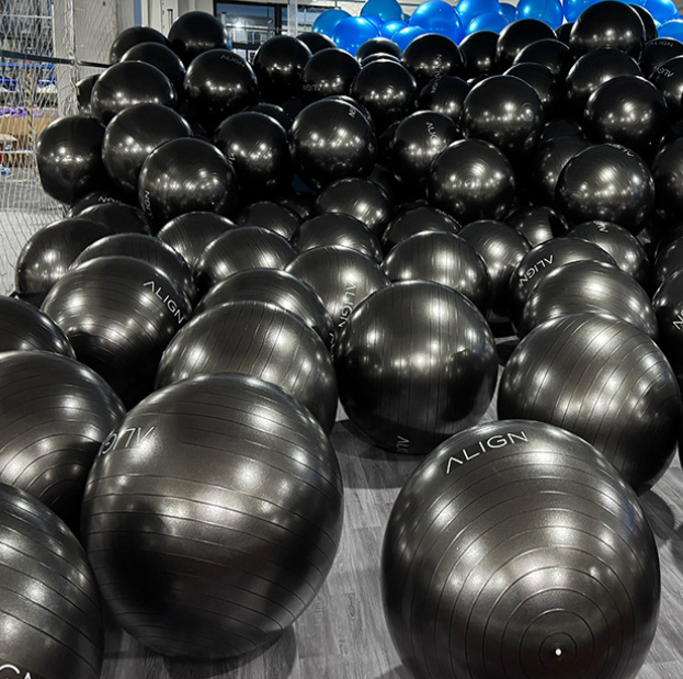 Pelota de Yoga y Fitness Antiexplosión 65 cm