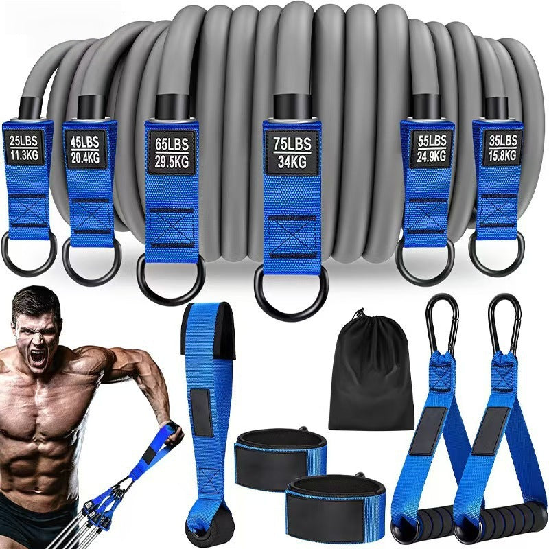 TPE Resistance Band Set with Accessories