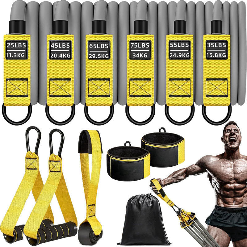 TPE Resistance Band Set with Accessories